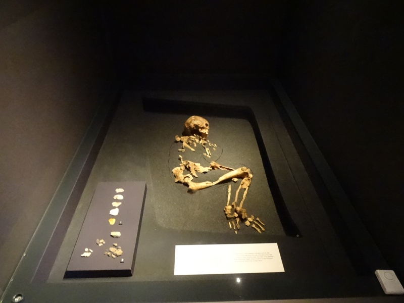 Kilmartin_Museum_Skeleton