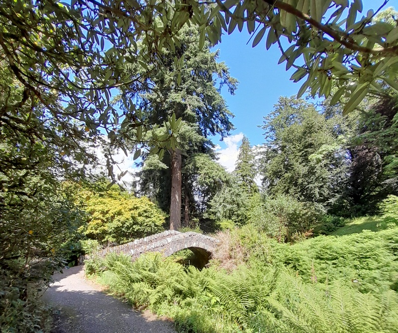 Bridge and path through woodlands of Dawyck Gardens