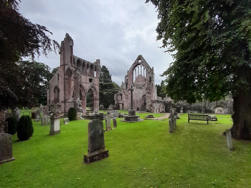 Dryburgh Abbey in its scenic woodland setting