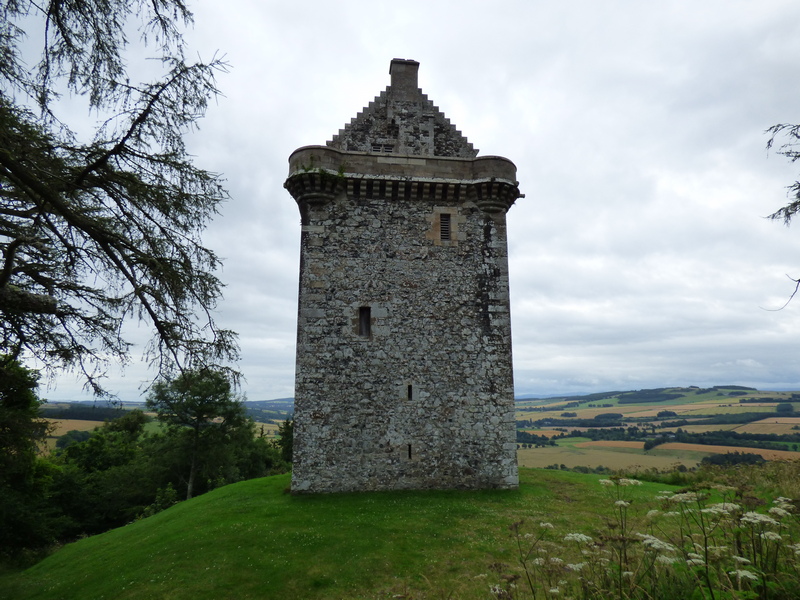 Fatlips Castle standing on Minto Crag