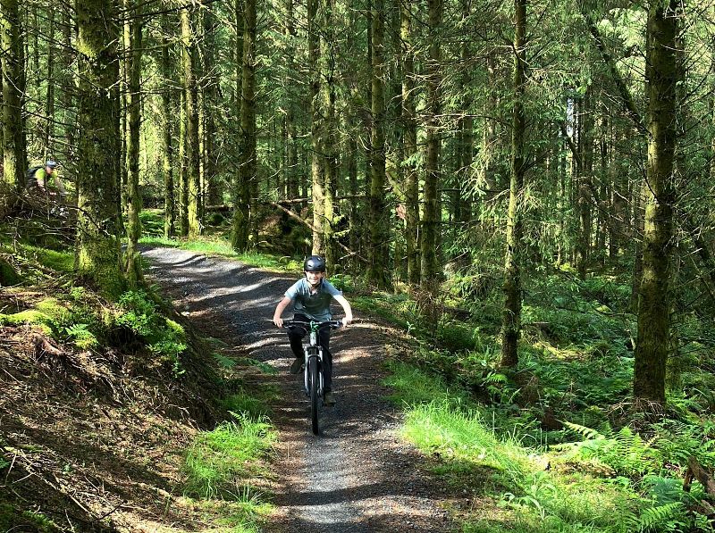 Riding a Mountain Bike trail through the Kirroughtree Forest