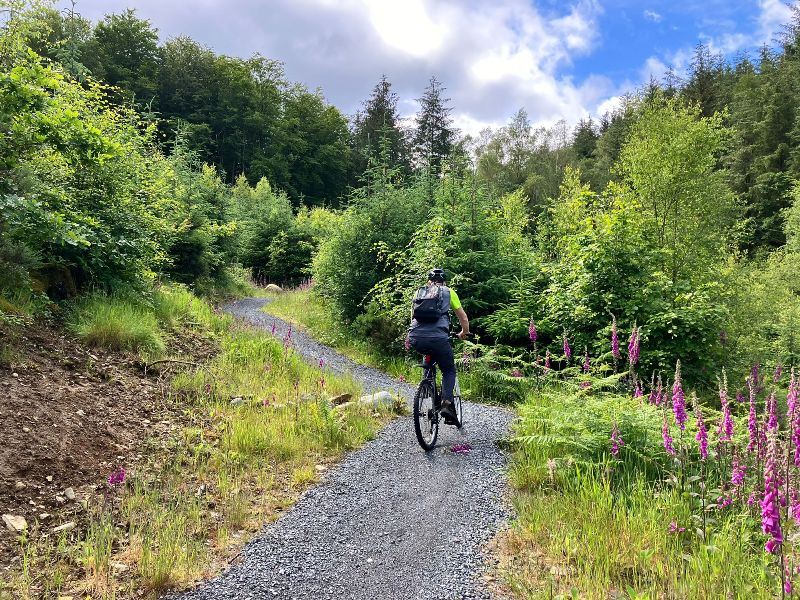 Mike on his dilapidated old bike struggling up a hill at Kirroughtree Forest