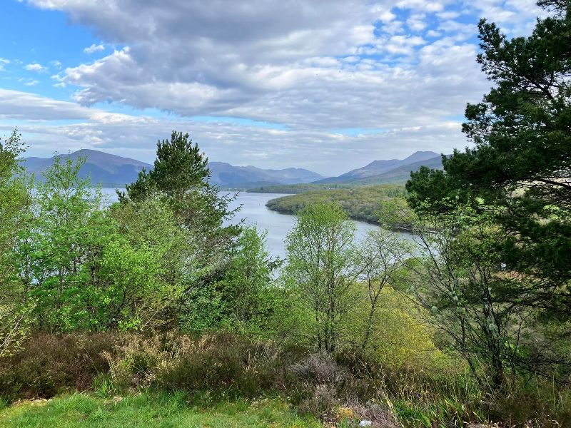 View of Loch Lomond from woodlands near Balmaha