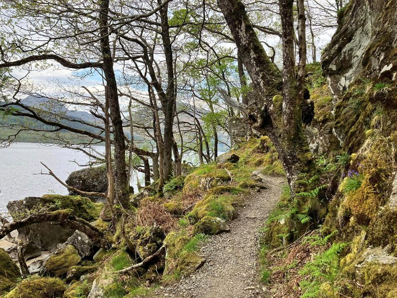 Narrow woodland path along the shores of Loch Lomond