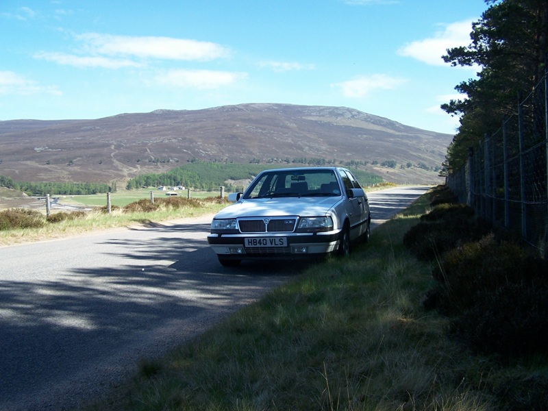 Old Faithful in the Cairngorms